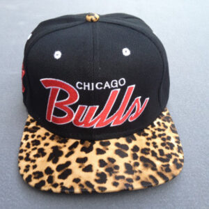 Chicago Bulls 069
