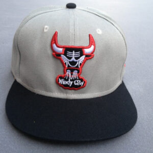 Chicago Bulls 072