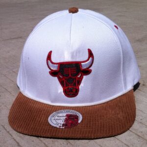 Chicago Bulls 058