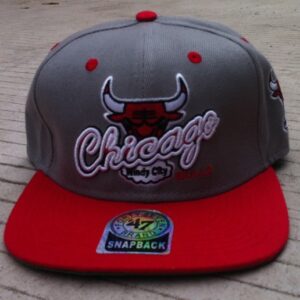 Chicago Bulls 059