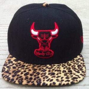 Chicago Bulls 078