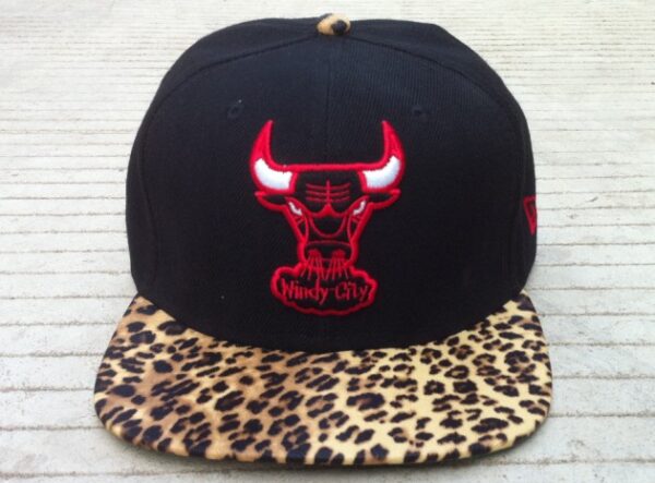 Chicago Bulls 078