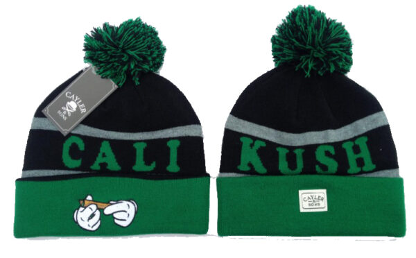 Berretto CALI KUSH Cayler&Sons