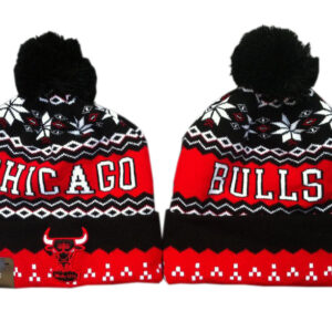 Berretto Chicago Bulls