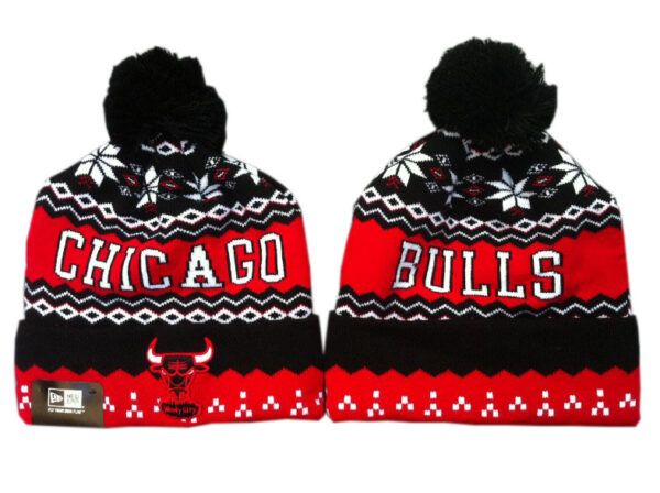 Berretto Chicago Bulls