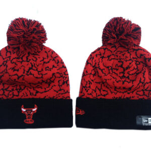 Berretto Chicago Bulls