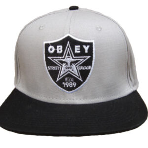 CappelloS OBEY [Ref. 17]