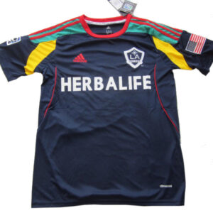Los Angeles Galaxy Third 2013