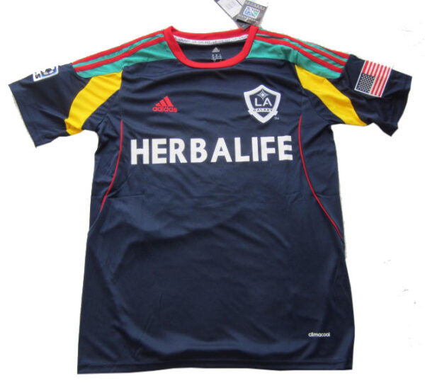 Los Angeles Galaxy Third 2013