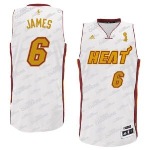 LeBron James, Miami Heat -Trophy