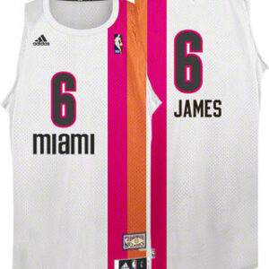 Lebron James Miami Heat Floridians