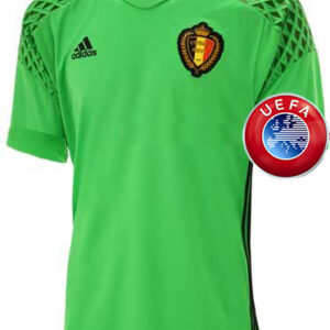 Belgio Portiere, Euro 2016