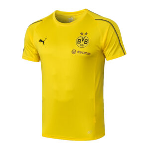 Maglia Allenamento Borussia Dortmund 2018/19