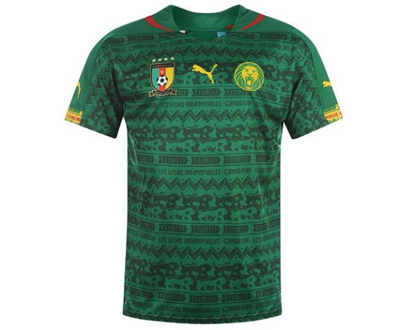 Camerun Home, Mondiali 2014