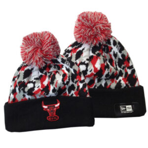 Berretto Chicago Bulls