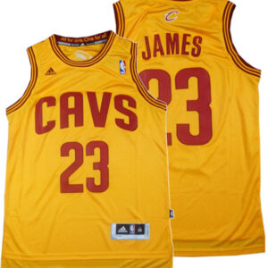 LeBron James, Cleveland Cavaliers - Classic Alternate