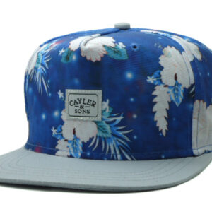 Cappello Cayler & Sons