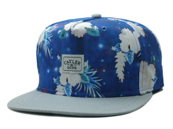 Cappello Cayler & Sons
