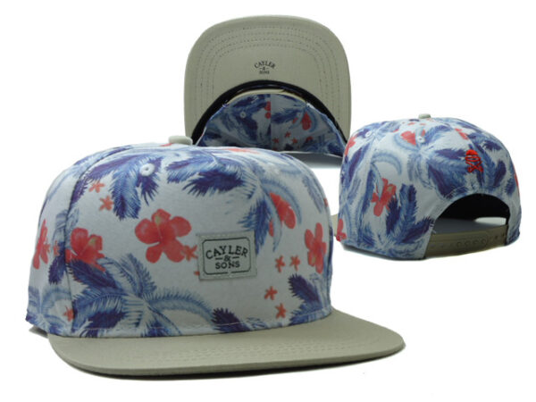 Cappello Cayler & Sons