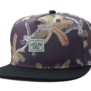 Cappello Cayler & Sons