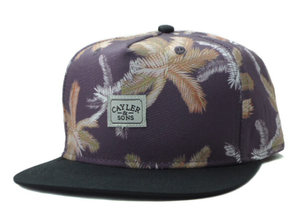 Cappello Cayler & Sons